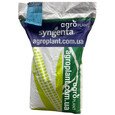 Кукурудза Сингента (Syngenta)