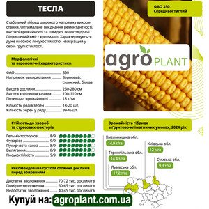 Тесла