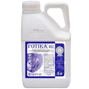 Готика