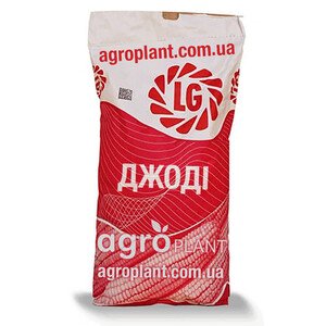 Джоди