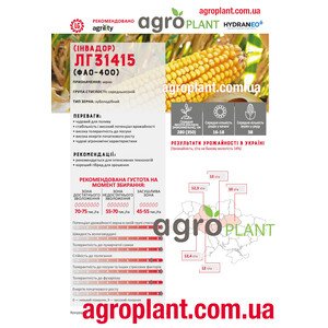 Кукурудза ЛГ31415 Інвадор