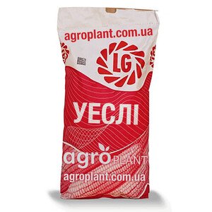 Уесли