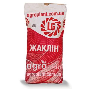Жаклин