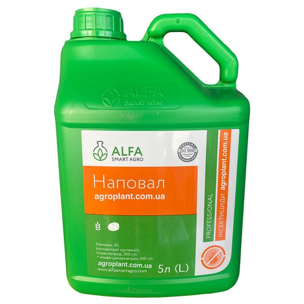 Наповал