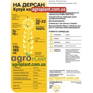 Дерсан