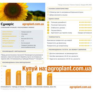 Соняшник Сунаріс