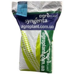 Кукурудза Сингента (Syngenta)