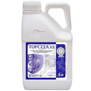 Торсида