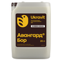 Авангард Р Бор