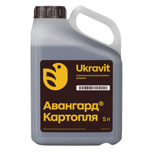 Авангард Р Картопля