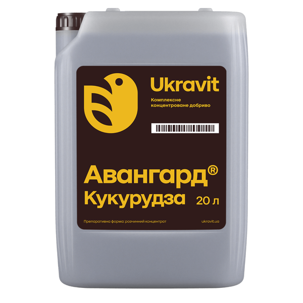 Авангард Р Кукуруза