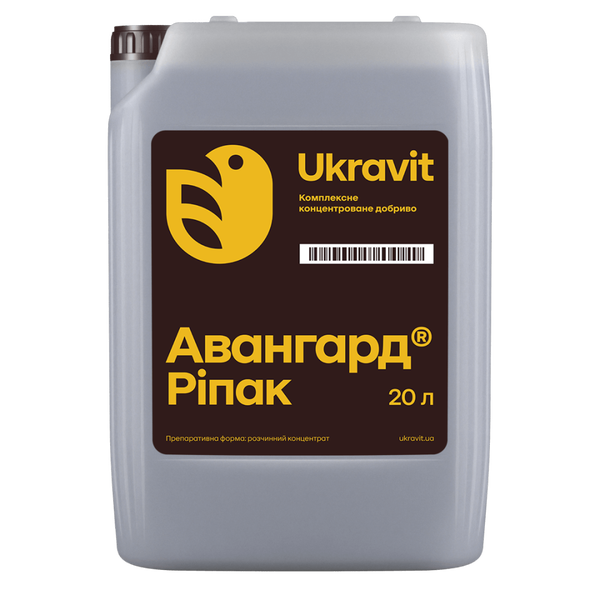 Авангард Р Ріпак