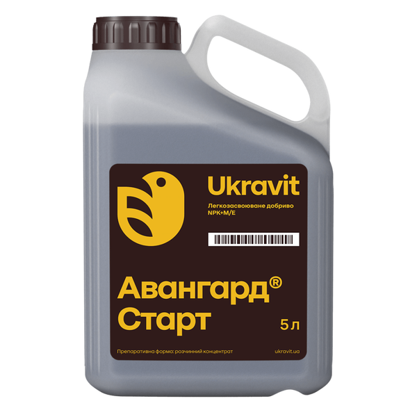 Авангард Р Старт
