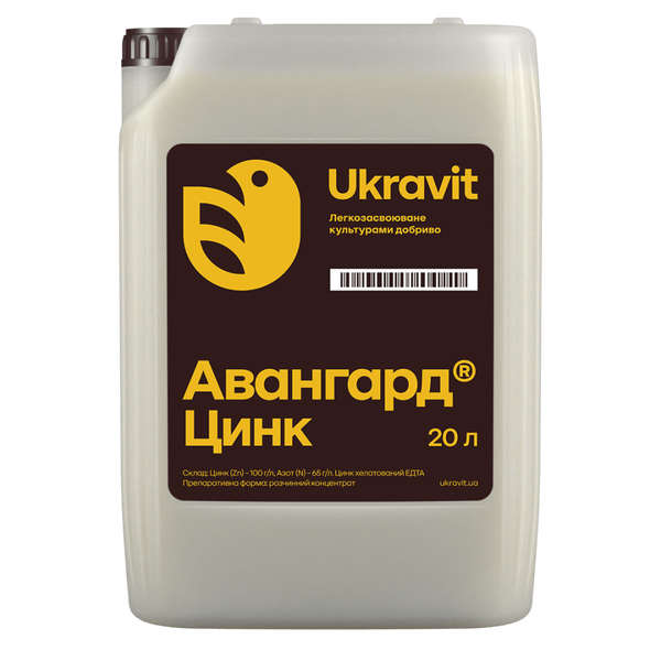 Авангард Р Цинк