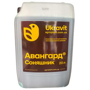 Авангард Р Соняшник