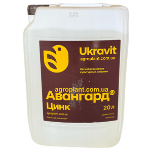 Авангард Р Цинк