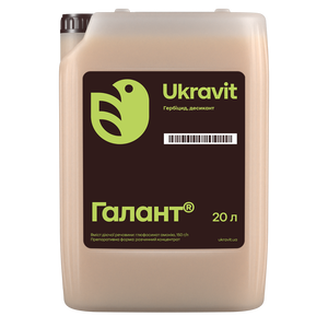  Галант
