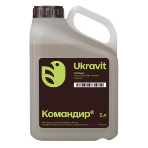 Командир