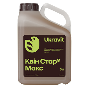 Квин Стар Макс