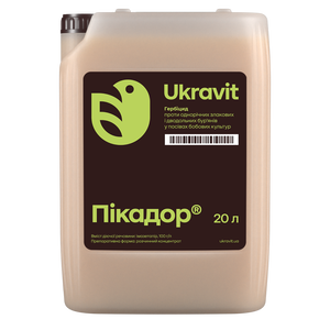 Пикадор
