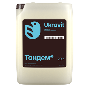 Тандем