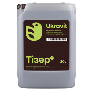 Тизер