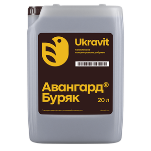 Авангард Р Свекла
