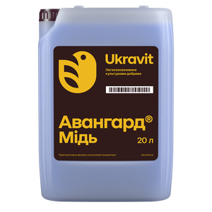 Авангард Р Медь