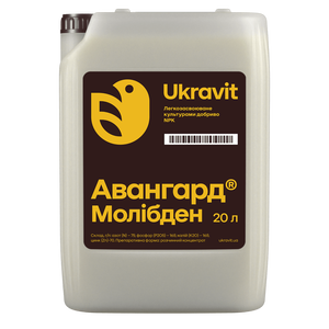 Авангард Р Молибден