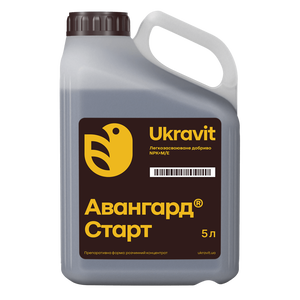 Авангард Р Старт
