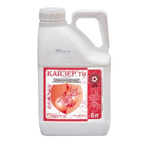 Кайзер
