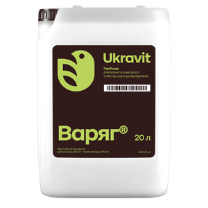 Варяг