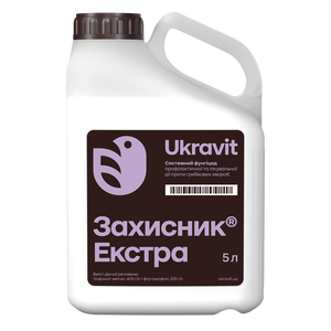 Защитник Экстра