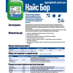 Найс Бор
