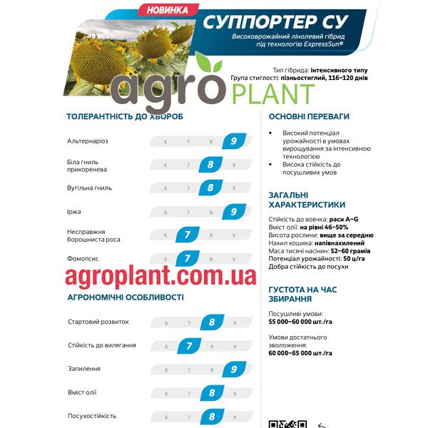 Соняшник Суппортер СУ Декалб – ExpressSun®, 116–120 днів, олійність 46–50%, вовчок A–G