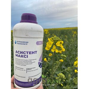 Інсектицид Асистент Максі