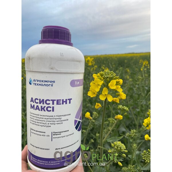 Инсектицид Асистент Макси (Ацетамиприд)