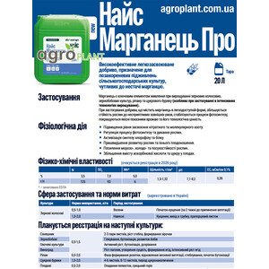 Найс Молибден