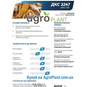 Кукурудза ДКС 3247