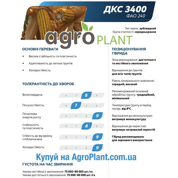Насіння кукурудзи ДКС 3400 Монсанто – ФАО 240, середньорання, зубовидний тип зерна