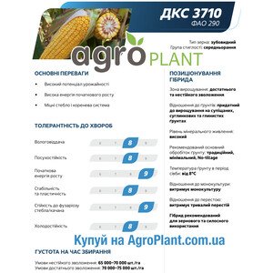 Кукурудза ДКС 3710