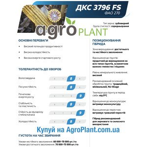 Кукурудза ДКС 3796