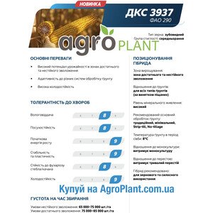 Кукурудза ДКС 3937