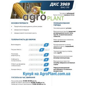 Кукурудза ДКС 3969