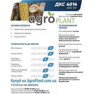 Кукурудза ДКС 4014