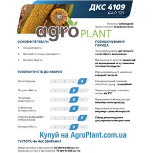 Кукурудза ДКС 4109