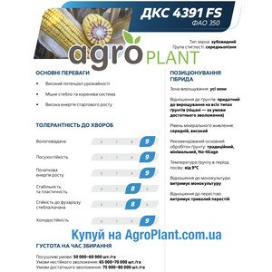 Кукурудза ДКС 4391