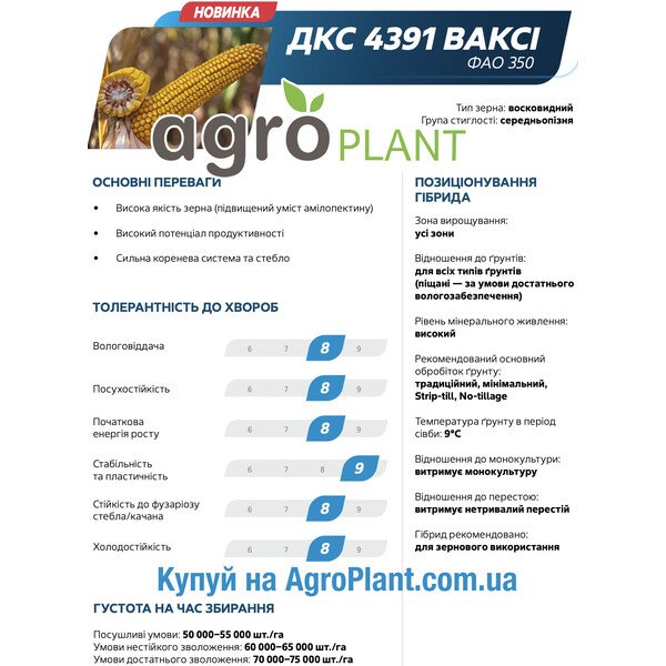 Насіння кукурудзи ДКС 4391 ВАКСІ Монсанто – ФАО 350, середньопізня, зубовидний тип зерна