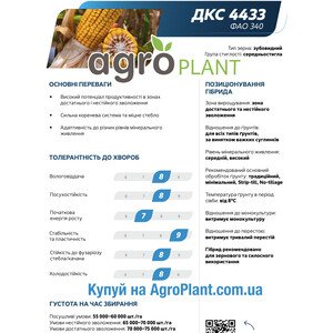 Кукурудза ДКС 4433