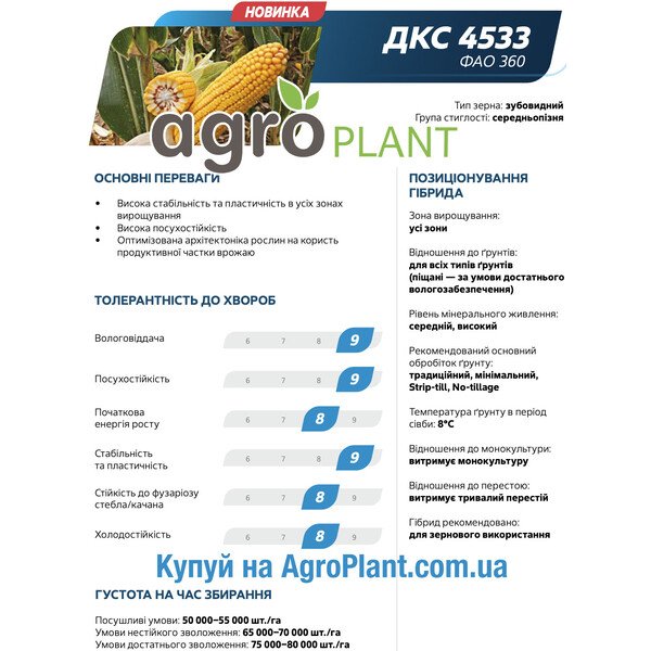 Насіння кукурудзи ДКС 4533 Монсанто – ФАО 360, середньопізня, зубовидний тип зерна